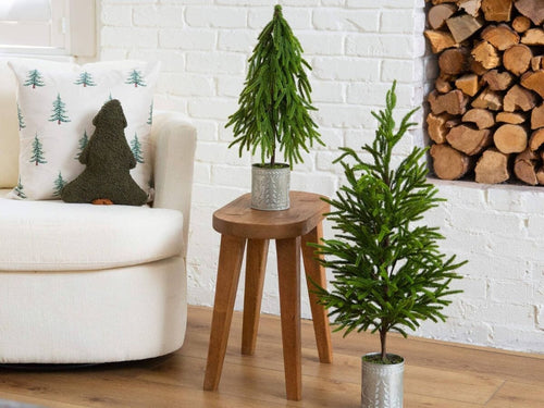 Black Friday & Cyber Monday Silk Plant Deals