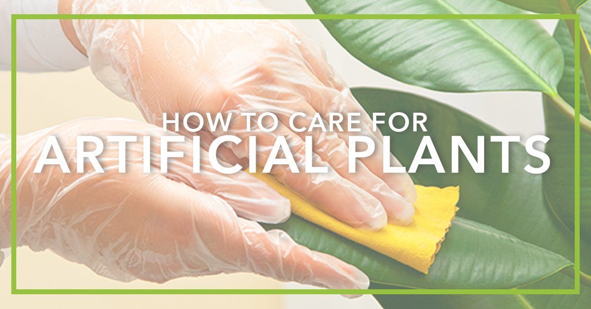How To Care For Artificial Plants Nearly Natural