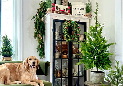 Meet the Norfolk Pine, the Season’s Most Versatile Tree