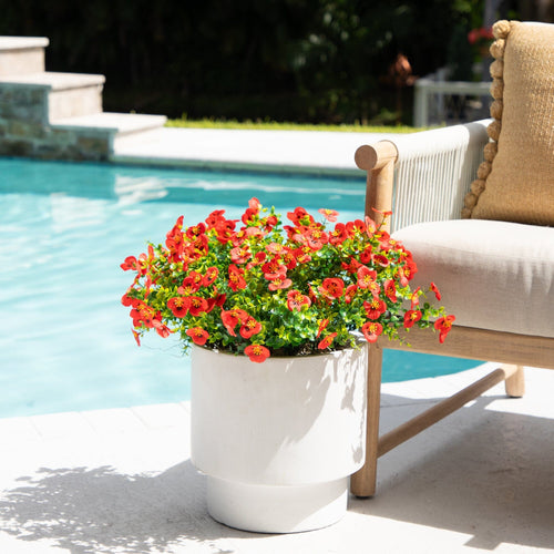 Outdoor Shrubs and Plants: Why Artificial Is Trending