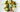 Spring Wreath Trends for 2026