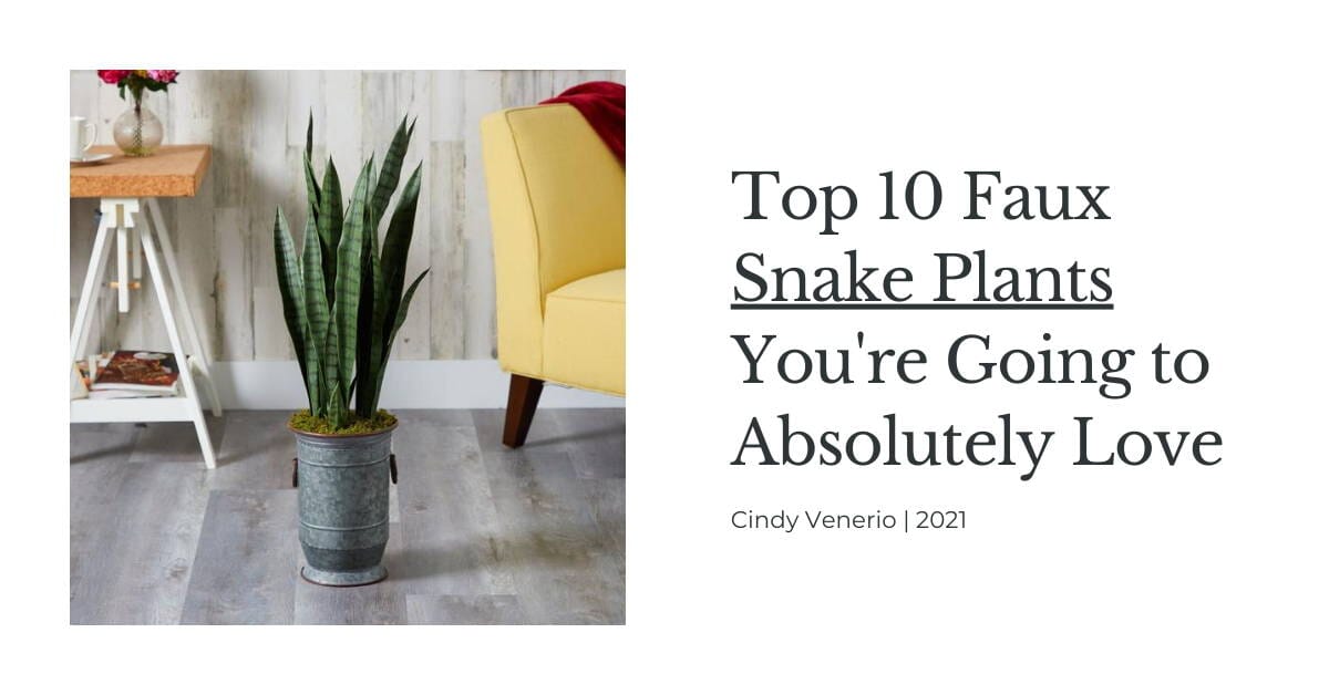 Pros and Cons of Snake Plants – Nearly Natural