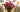 Valentine’s Arrangements That Make the Perfect Gift