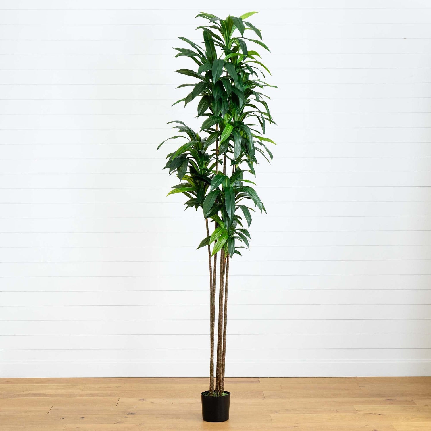 10’ Artificial Dracaena Tree with Real Touch Leaves