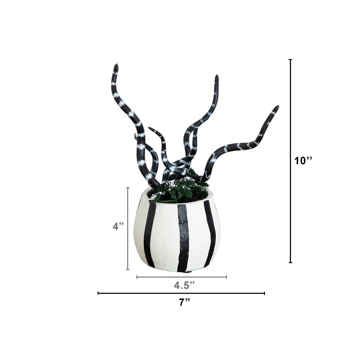 10” Artificial Halloween Midnight Stripe Snake Plant in Decorative Planter