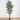 10’ Artificial Paradise Palm Tree