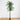 10’ UV Resistant Artificial Double Robellini Palm Tree (Indoor/Outdoor)