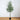 13’ Artificial Eucalyptus Tree