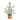 14” Artificial Flocked Fir Christmas Tree in Woven Basket