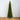 15’ Artificial Slim Green Mountain Pine Christmas Tree with 1900 Warm White LED Lights