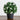 15" UV Resistant Artificial Boxwood and Gardenia Topiary Plant (Indoor/Outdoor)