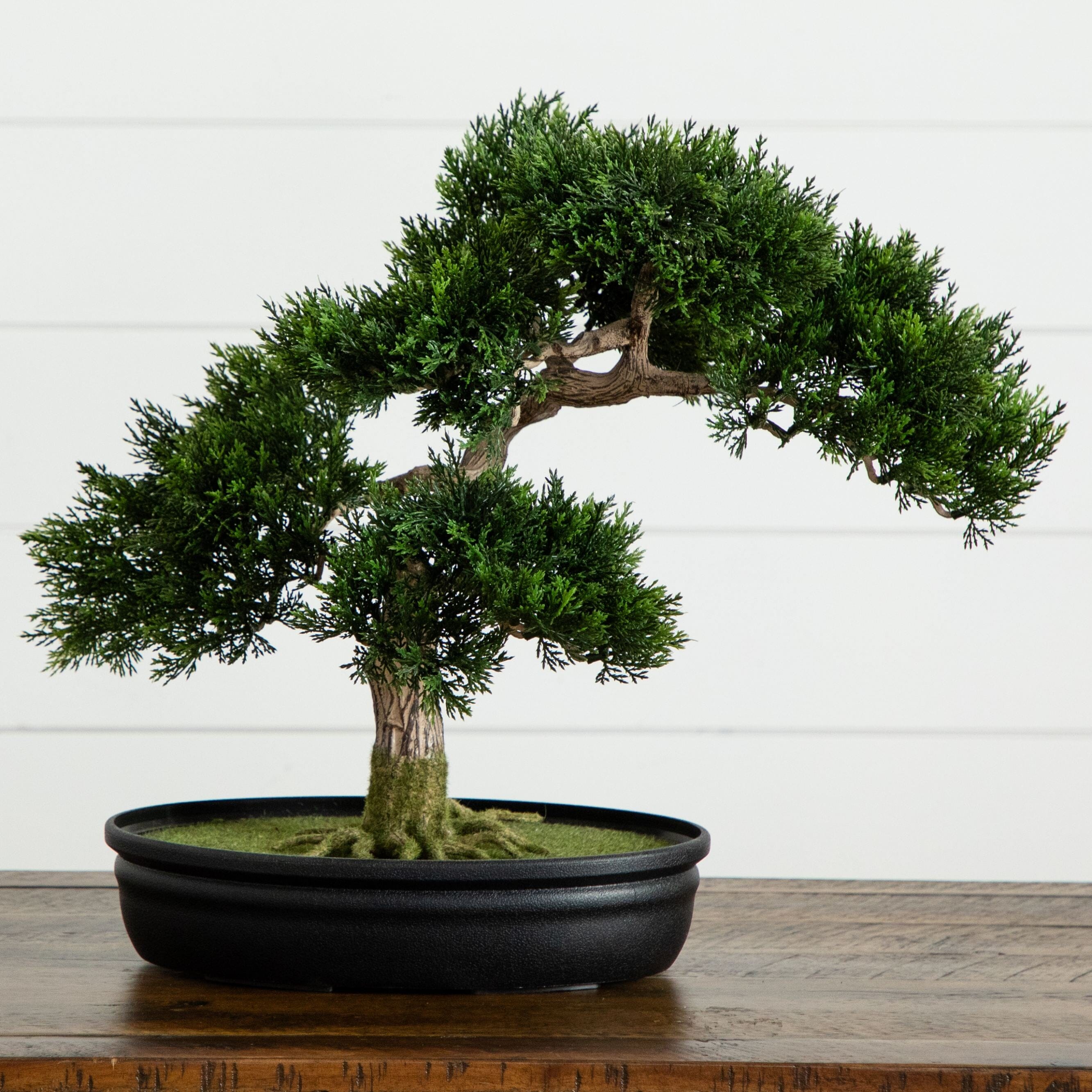 Nearly Natural 16 in. Silk Cedar Bonsai Plant
