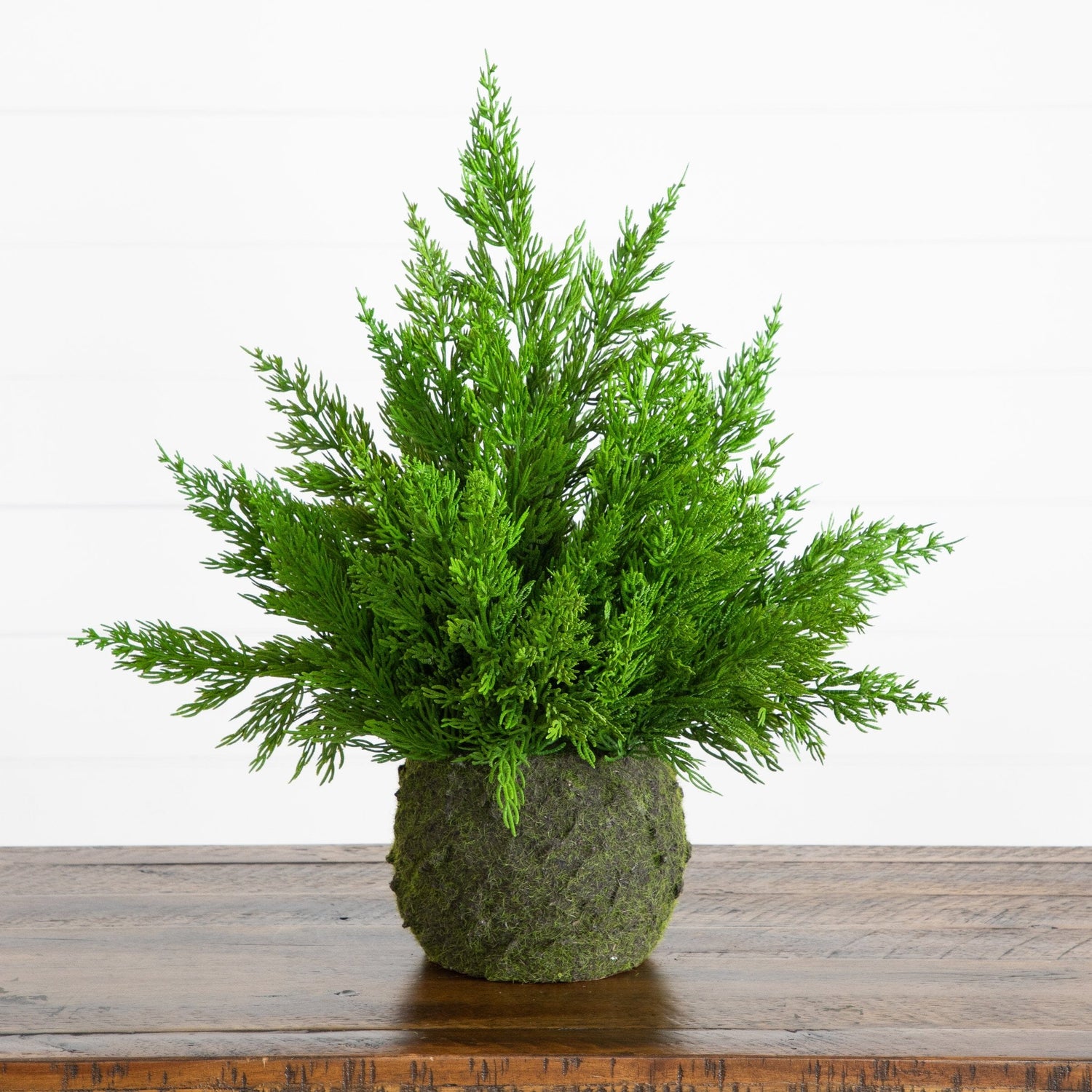 18” Artificial Real Touch Winter Cypress Bush in Moss Planter