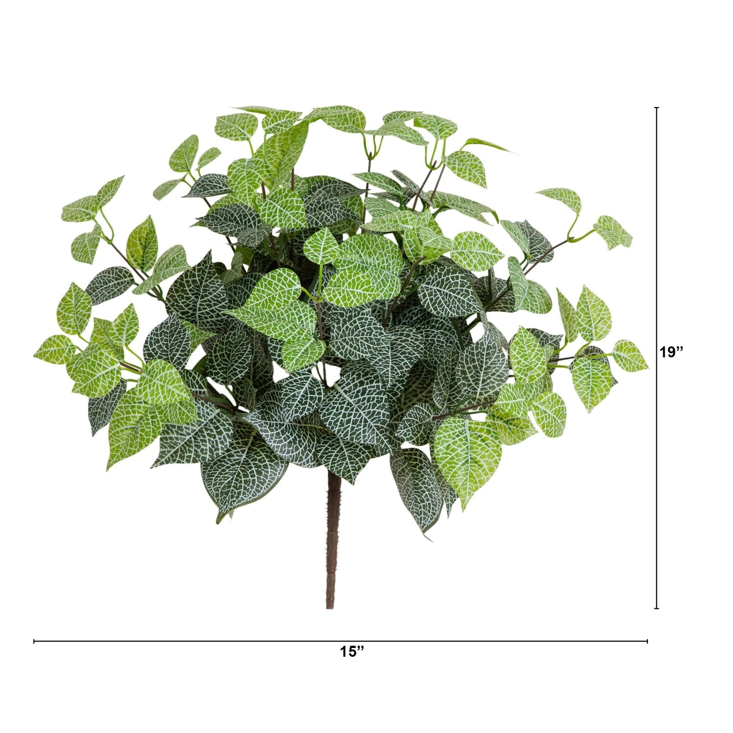 19" UV Resistant Artificial Fittonia Bush (Indoor/Outdoor) - Set of 3