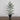 2' Artificial Frosted Christmas Tree in Black Decorative Urn