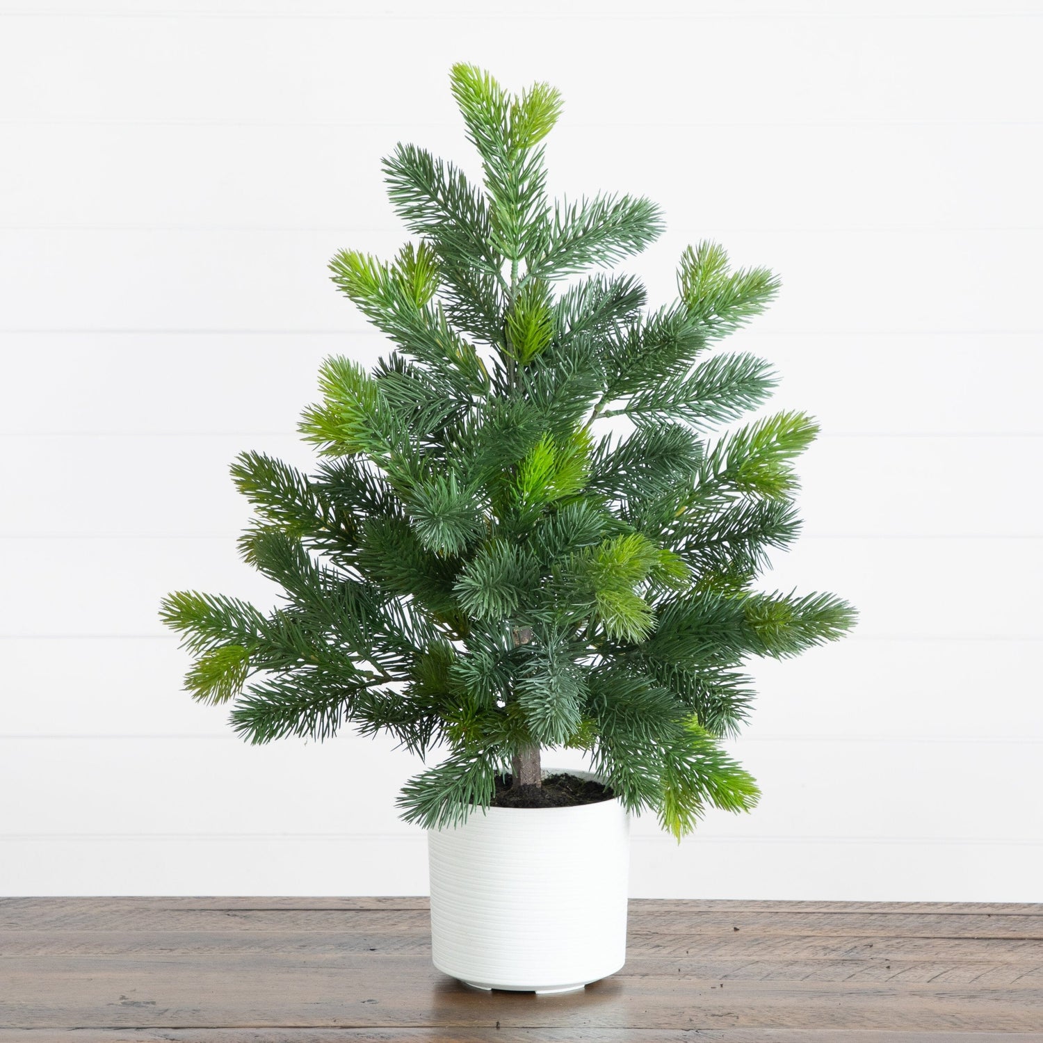 2' Artificial Real Touch Spruce Pine Christmas Tree in White Decorative Planter
