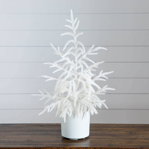 2' Artificial Real Touch White Norfolk Island Pine Christmas Tree with Natural Look