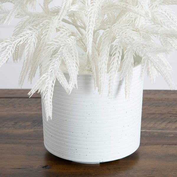 2' Artificial Real Touch White Norfolk Island Pine Christmas Tree with Natural Look