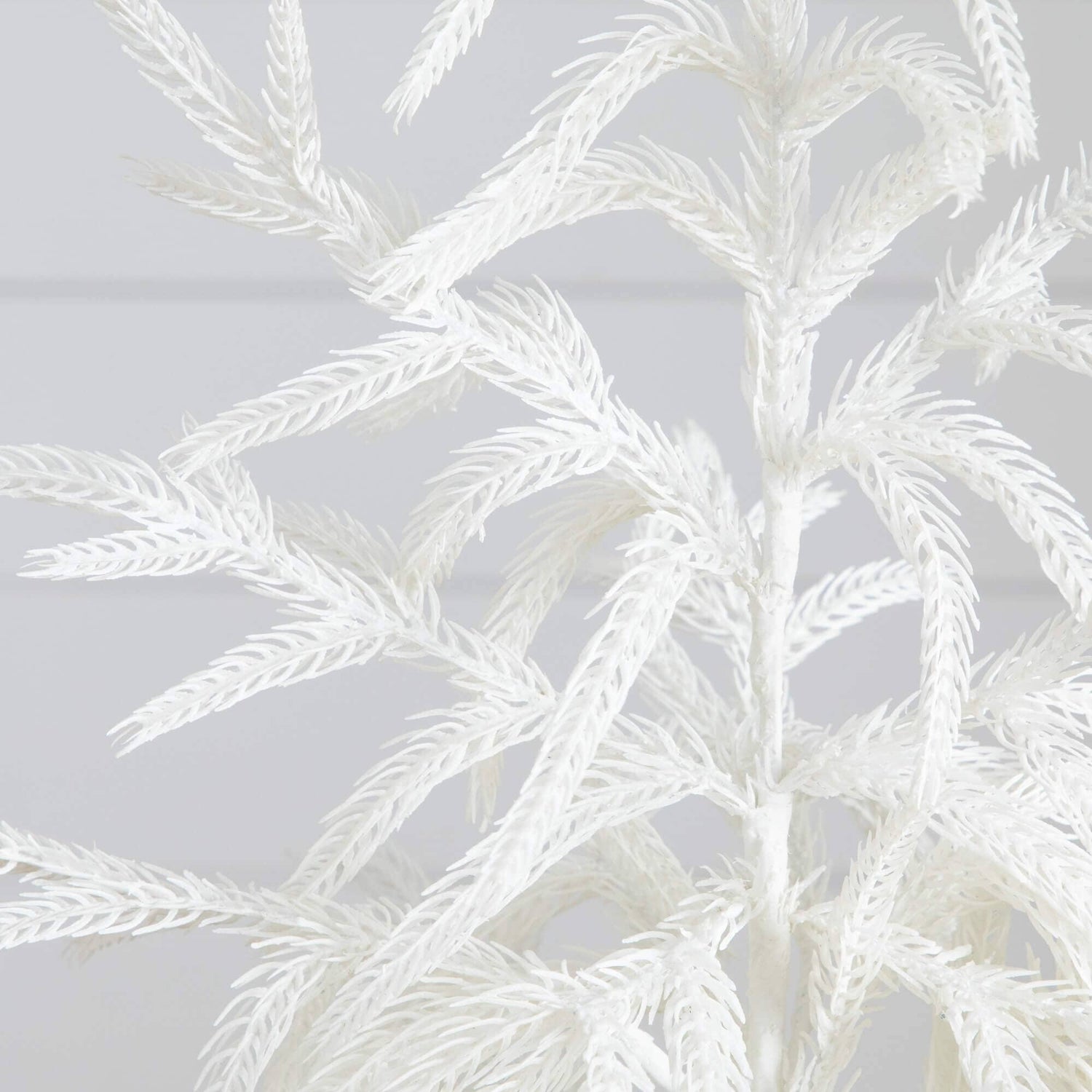 2' Artificial Real Touch White Norfolk Island Pine Christmas Tree with Natural Look