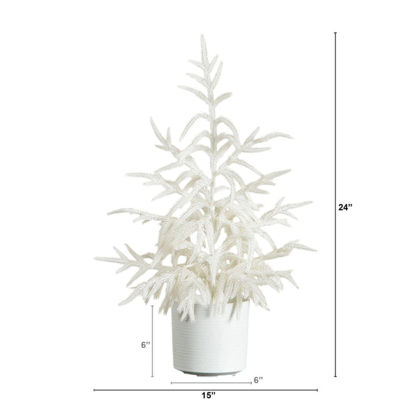 2' Artificial Real Touch White Norfolk Island Pine Christmas Tree with Natural Look