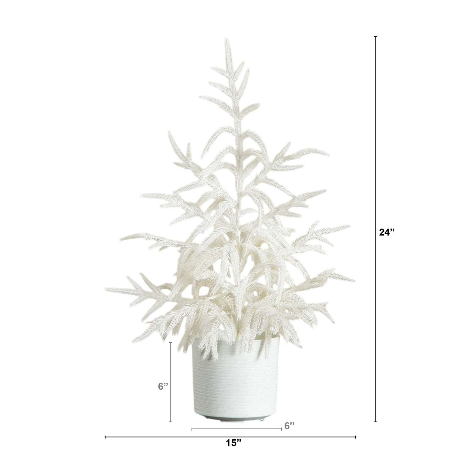 2' Artificial Real Touch White Norfolk Island Pine Christmas Tree with Natural Look