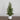20” Artificial Christmas Cedar Pine Tree with Pinecones in White Ceramic Planter