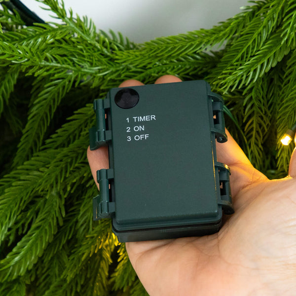 20" Pre-Lit Artificial Real Touch Norfolk Island Pine Wreath with 35 Warm White LED Lights and Natural Look