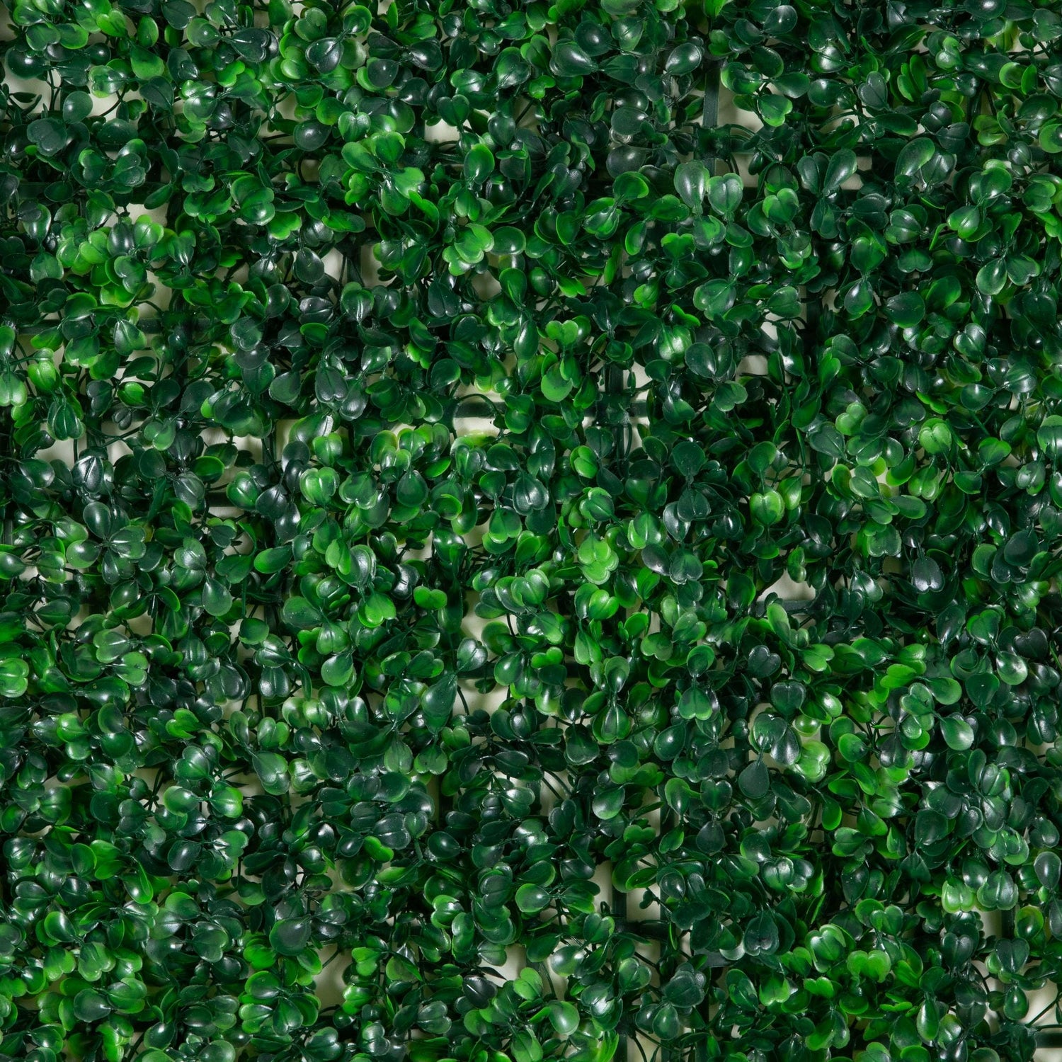 20" x 20" Artificial Boxwood Mat Wall Panel - Set of 12