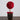 21” Pre-Lit Artificial Christmas Poinsettia Single Ball Topiary Tree with 15 LED Lights in Decorative Planter