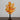 21" Pre-Lit Bright Autumn Eucalyptus Artificial Fall Tree with 50 Warm White LED Lights and Detachable Base
