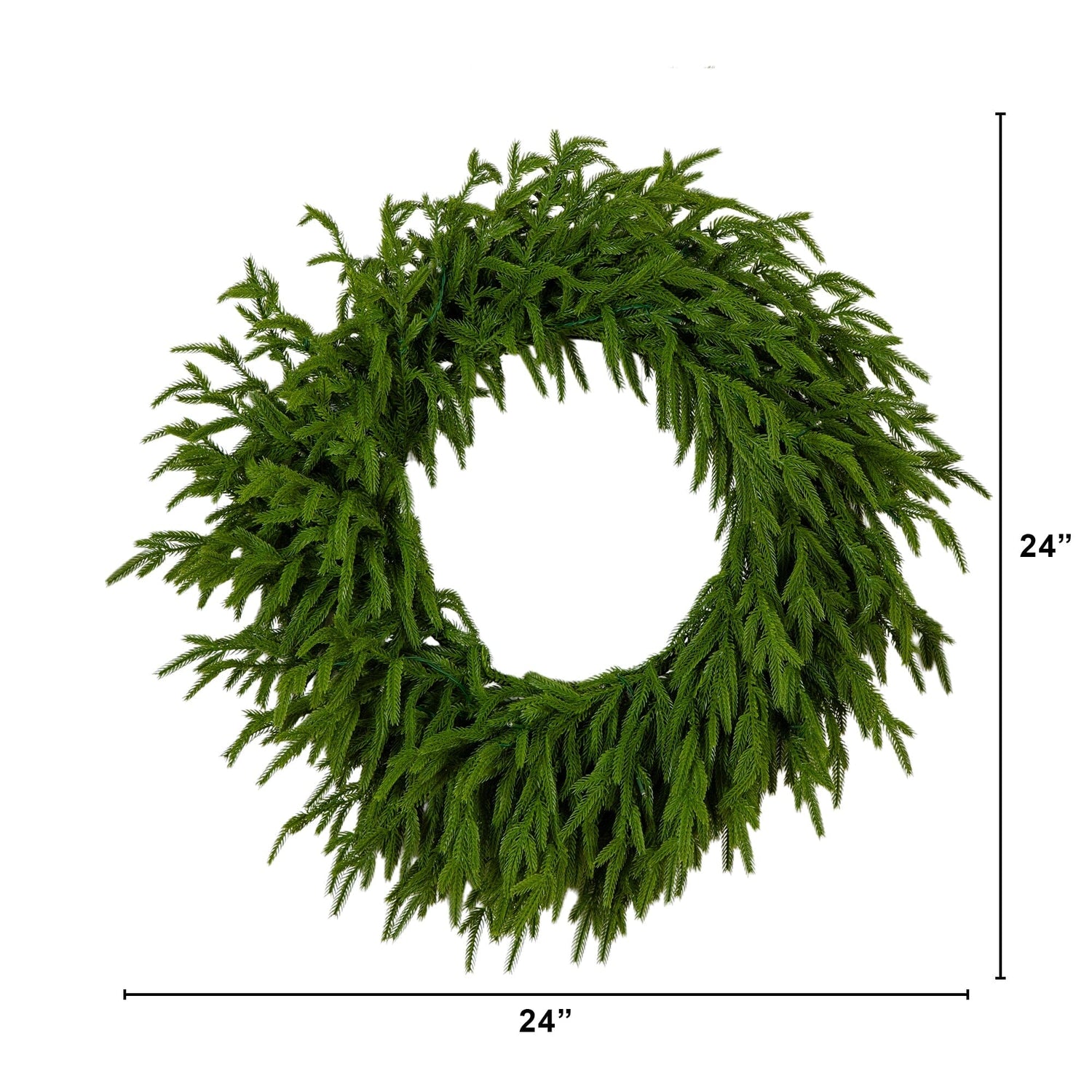 24" Pre-Lit Artificial Real Touch Norfolk Island Pine Wreath with 50 Warm White LED Lights and Natural Look