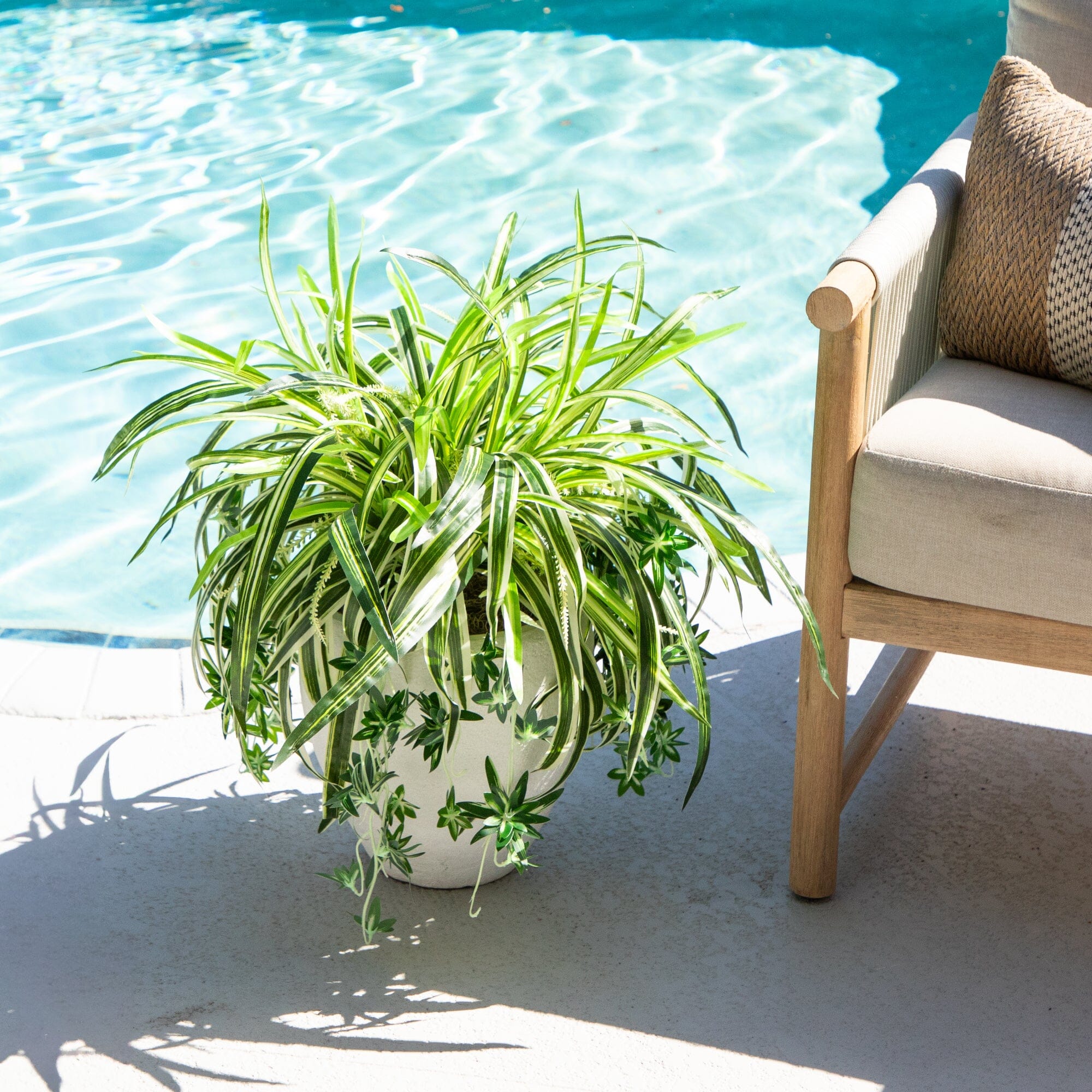 outdoor spider plant 24" UV Resistant Artificial Spider Bush (Indoor/Outdoor)