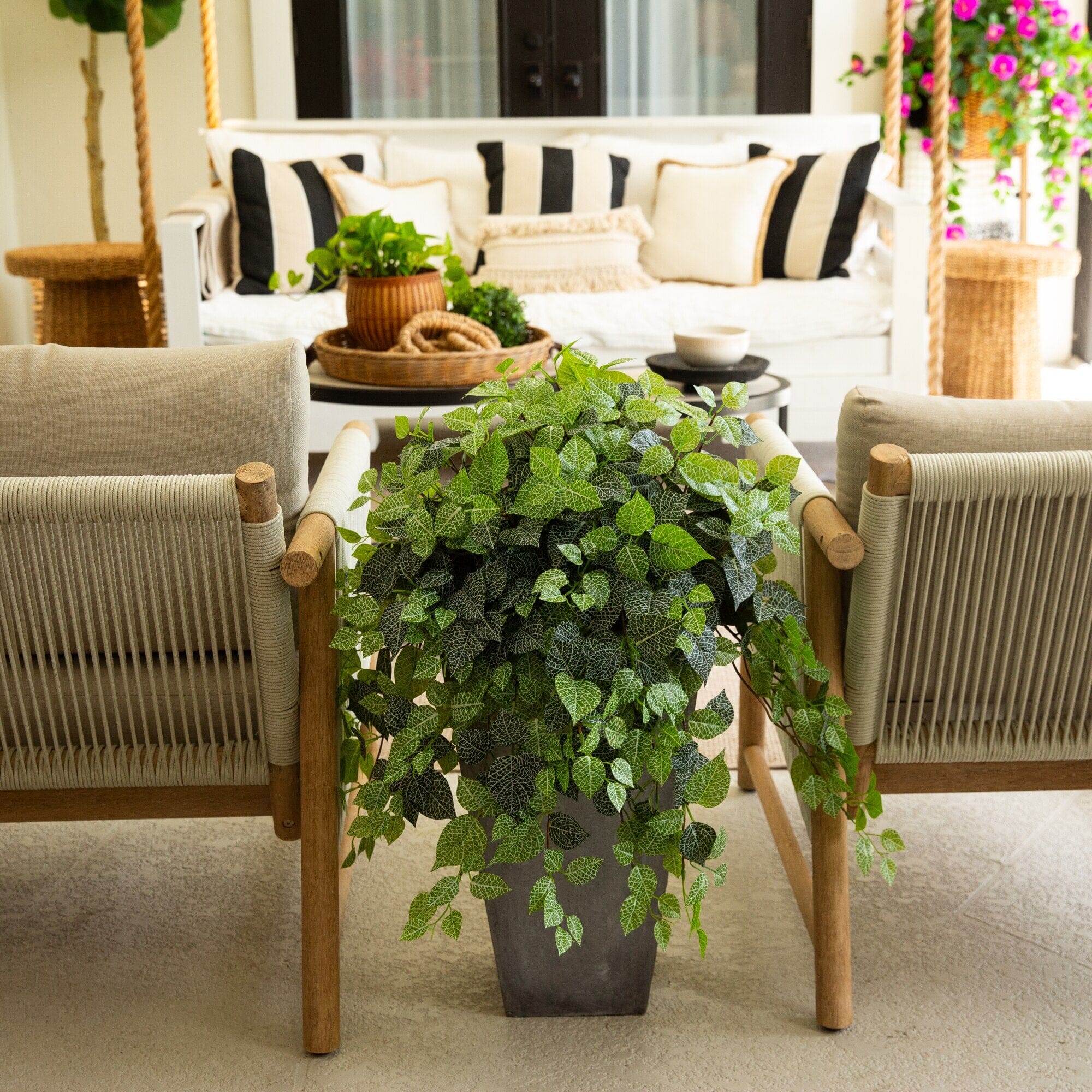 patio with hanging plants 24" UV Resistant Artificial Fittonia Hanging Plant (Indoor/Outdoor)
