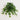 24" UV Resistant Artificial Puff Ivy Hanging Plant (Indoor/Outdoor) - Set of 3