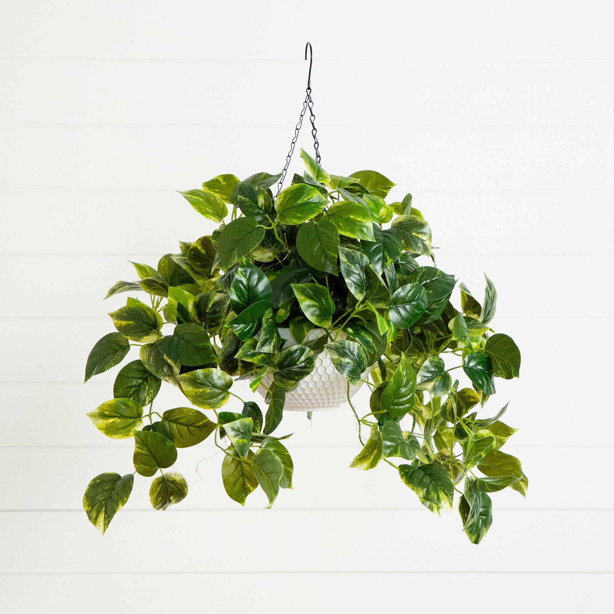 basketing pothos Nearly Natural 24 in. UV Resistant Artificial Pothos with 50 Warm White LED Lights in White Hanging Basket