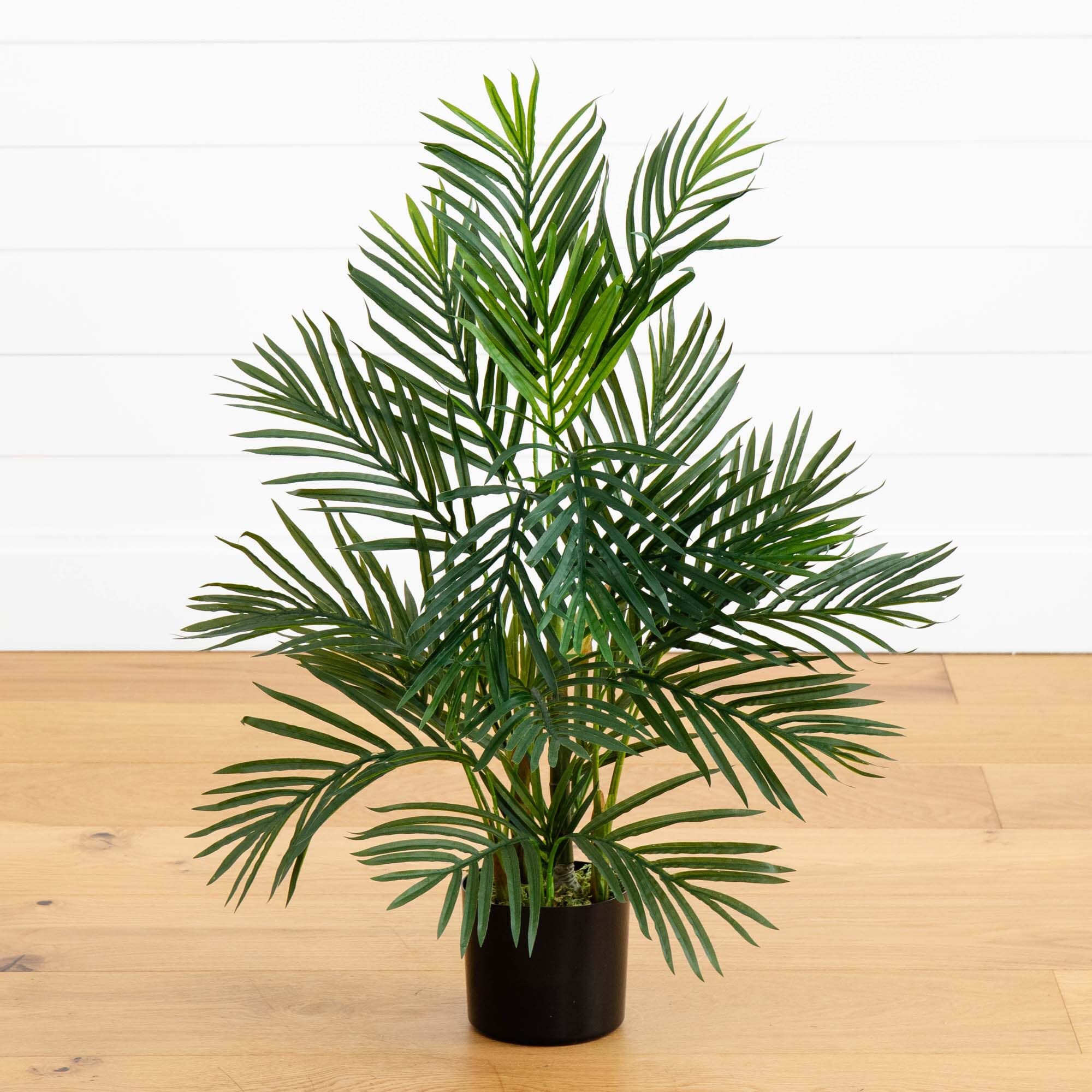 areca palm for sale nz Nearly Natural 2.5-ft Areca Palm UV Resistant (Indoor/Outdoor)