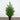 26” Artificial Real Touch Cypress Christmas Tree