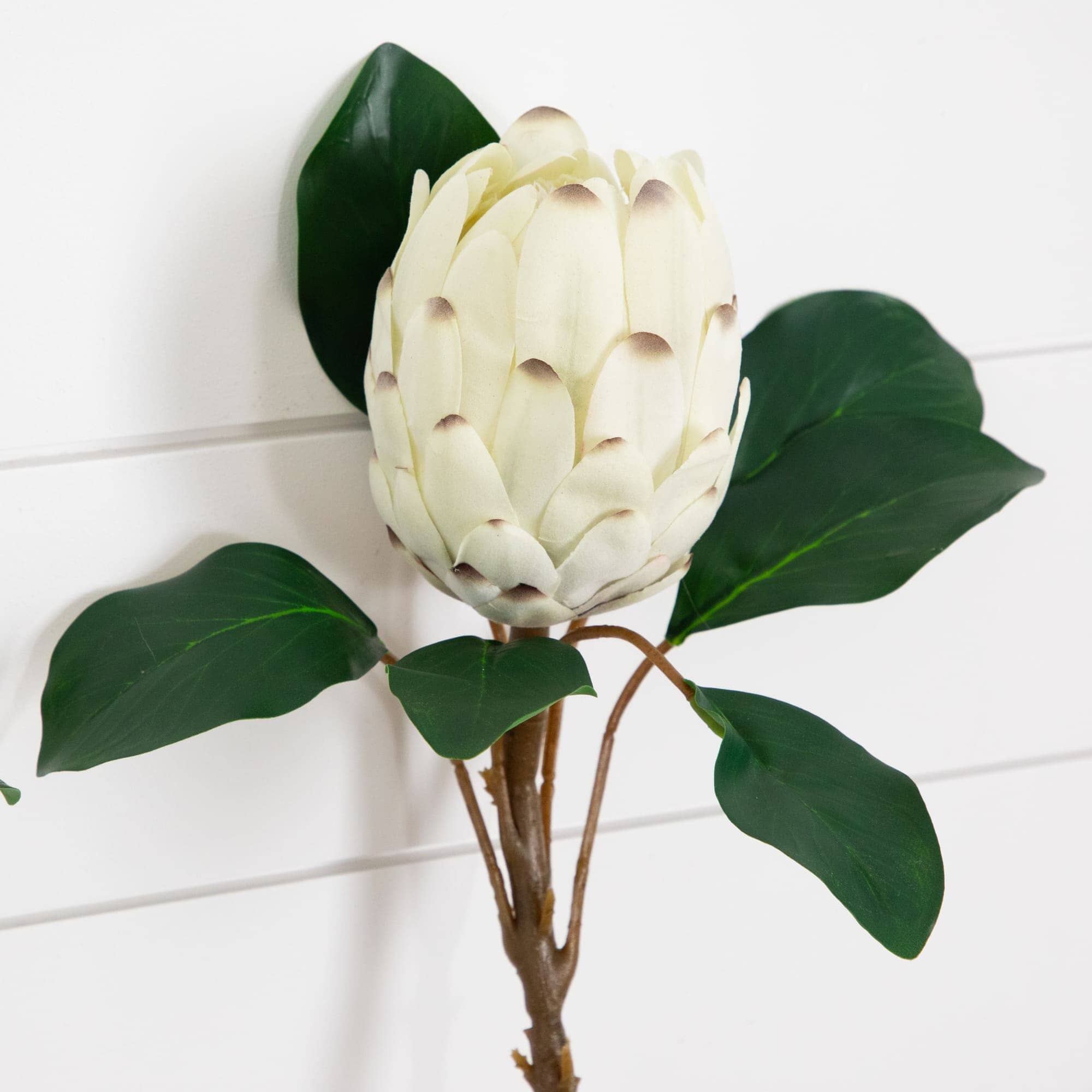 protea house plant Nearly Natural 26in. Artificial King Protea Flower Stems