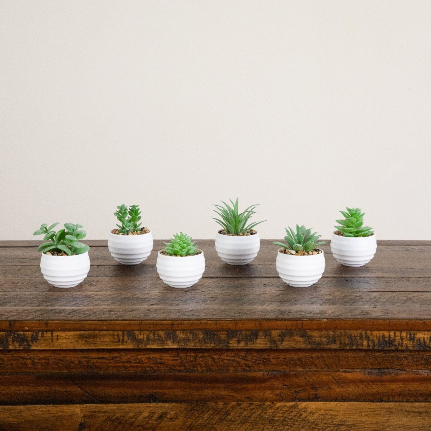 3" Artificial Mini Succulent Plants in Decorative White Oval Planters - Set of 6