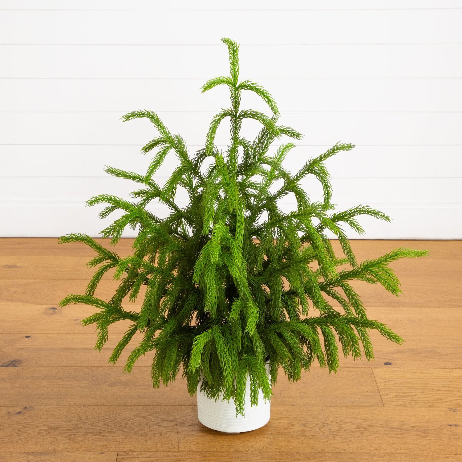 3' Artificial Real Touch Norfolk Island Pine Christmas Tree with Natural Look in White Decorative Planter