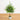 3' Artificial Real Touch Norfolk Island Pine in Metal Tin Planter with Natural Look