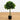 3' Bay Leaf Topiary UV Resistant (Indoor/Outdoor)