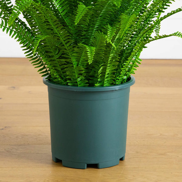 3-ft UV Resistant Artificial Real Touch Boston Fern Plant (Indoor/Outdoor)