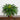 32” Artificial Double Boston Fern in Handmade Mexican Talavera Ceramic Planter