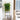 32” UV Resistant Artificial Philo Hanging Plant (Indoor/Outdoor) - Set of 2