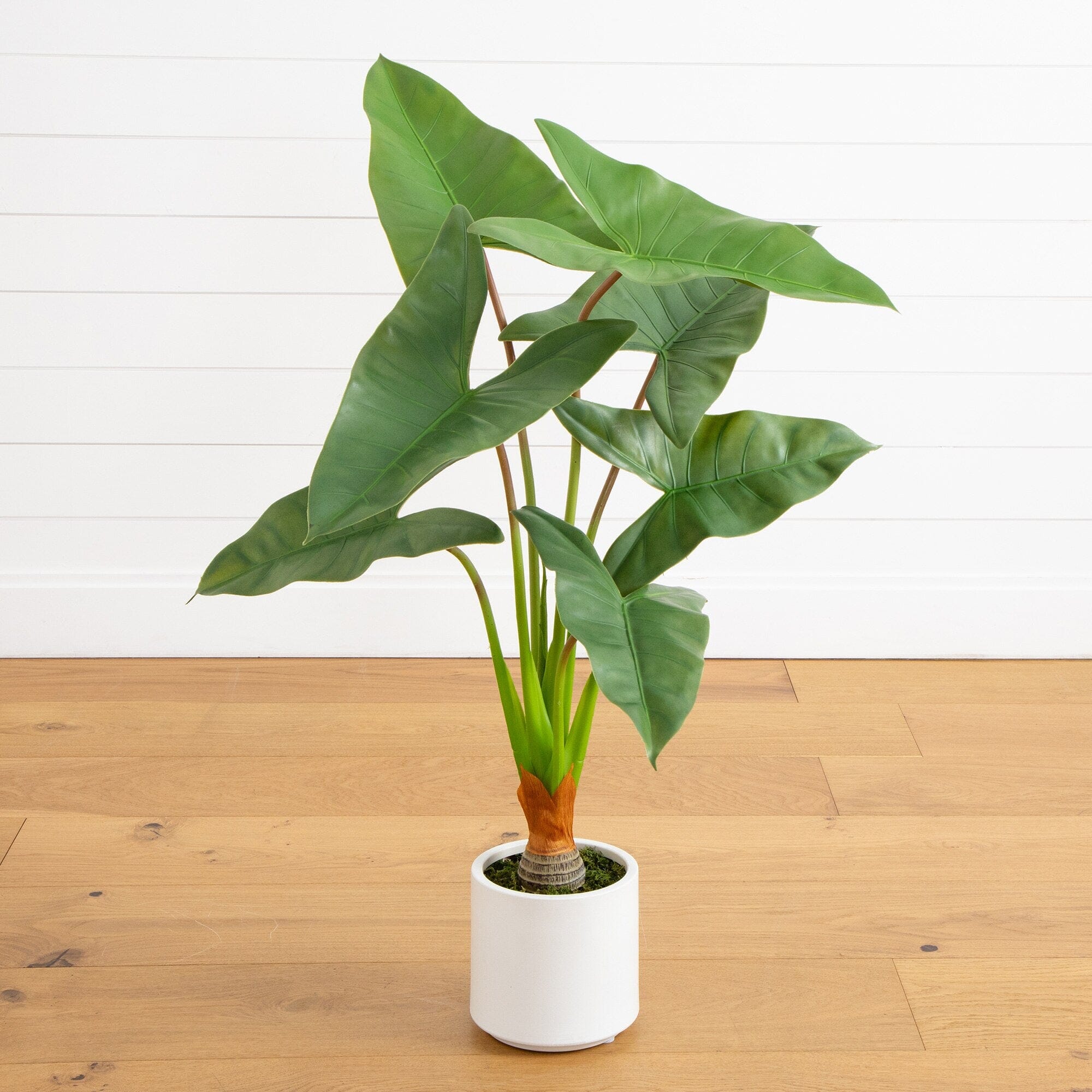 Nearly Natural 3.5 ft. Artificial Arrowhead Philodendron in White Decorative Planter