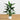3.5' Artificial Sky Bird Tree in White Decorative Planter