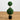 35” Double Boxwood Topiary