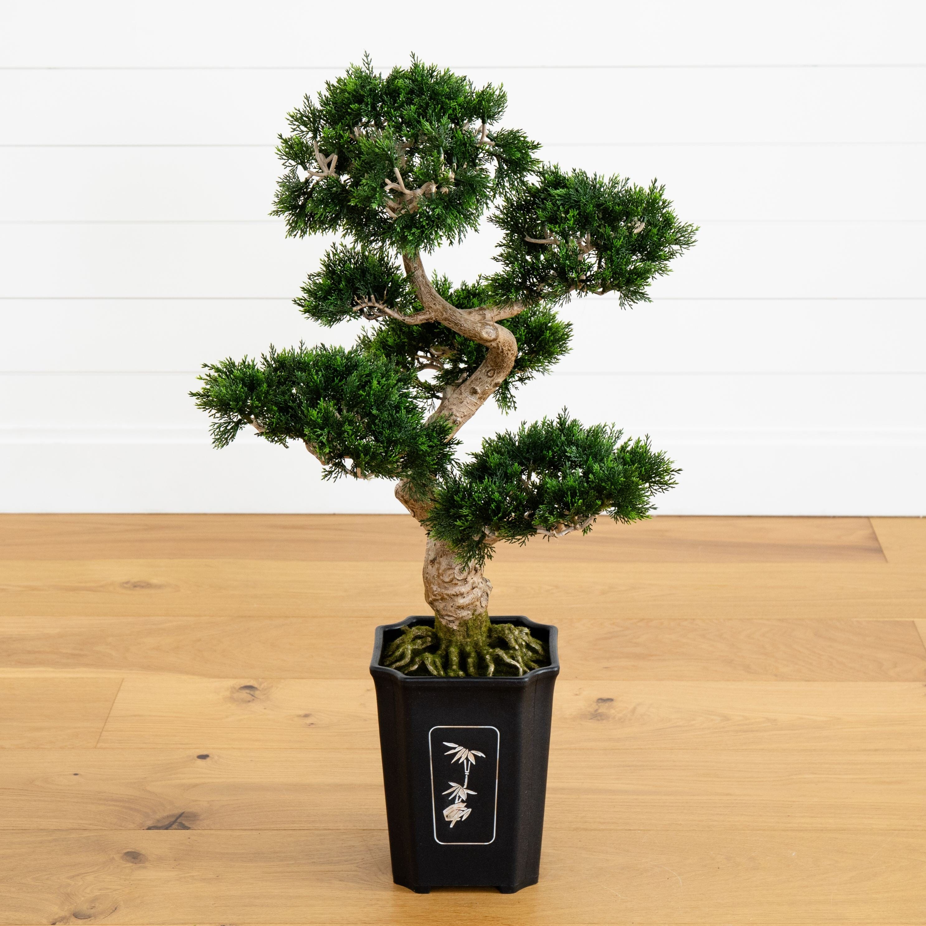 Cedar Bonsai 36