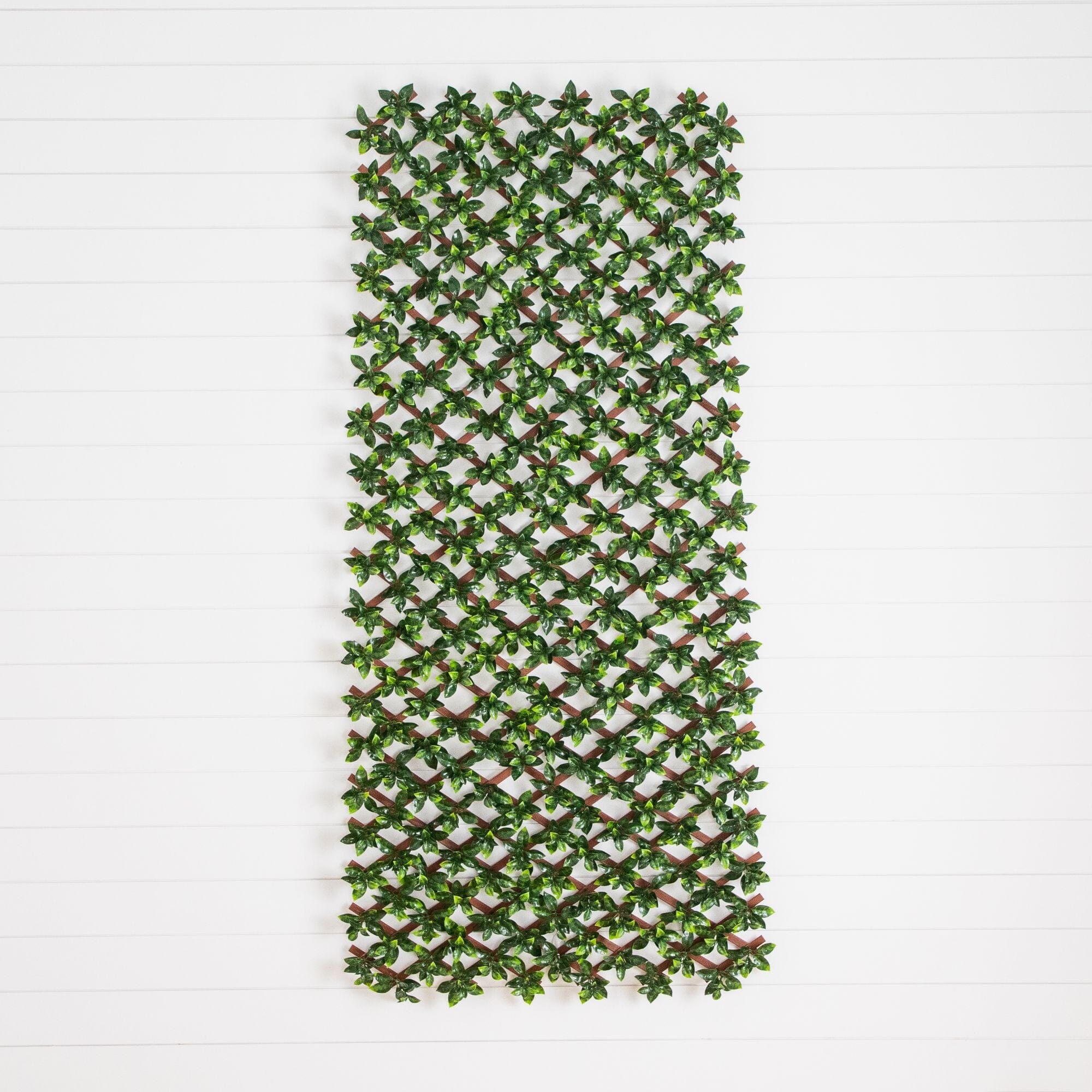 36” x 72